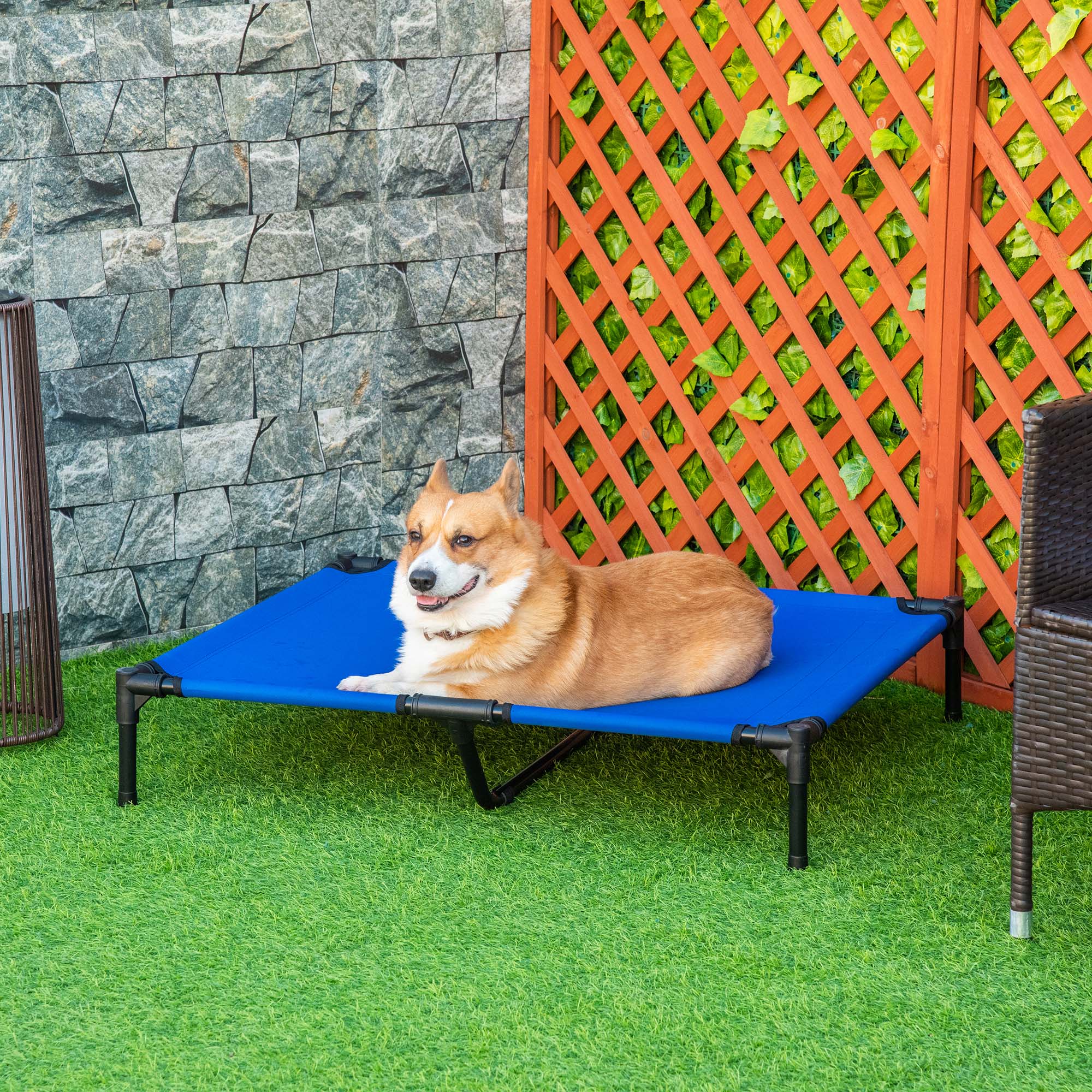 Elevated Pet Bed With Metal Frame And Oxford Fabric With Dogs And Cats L