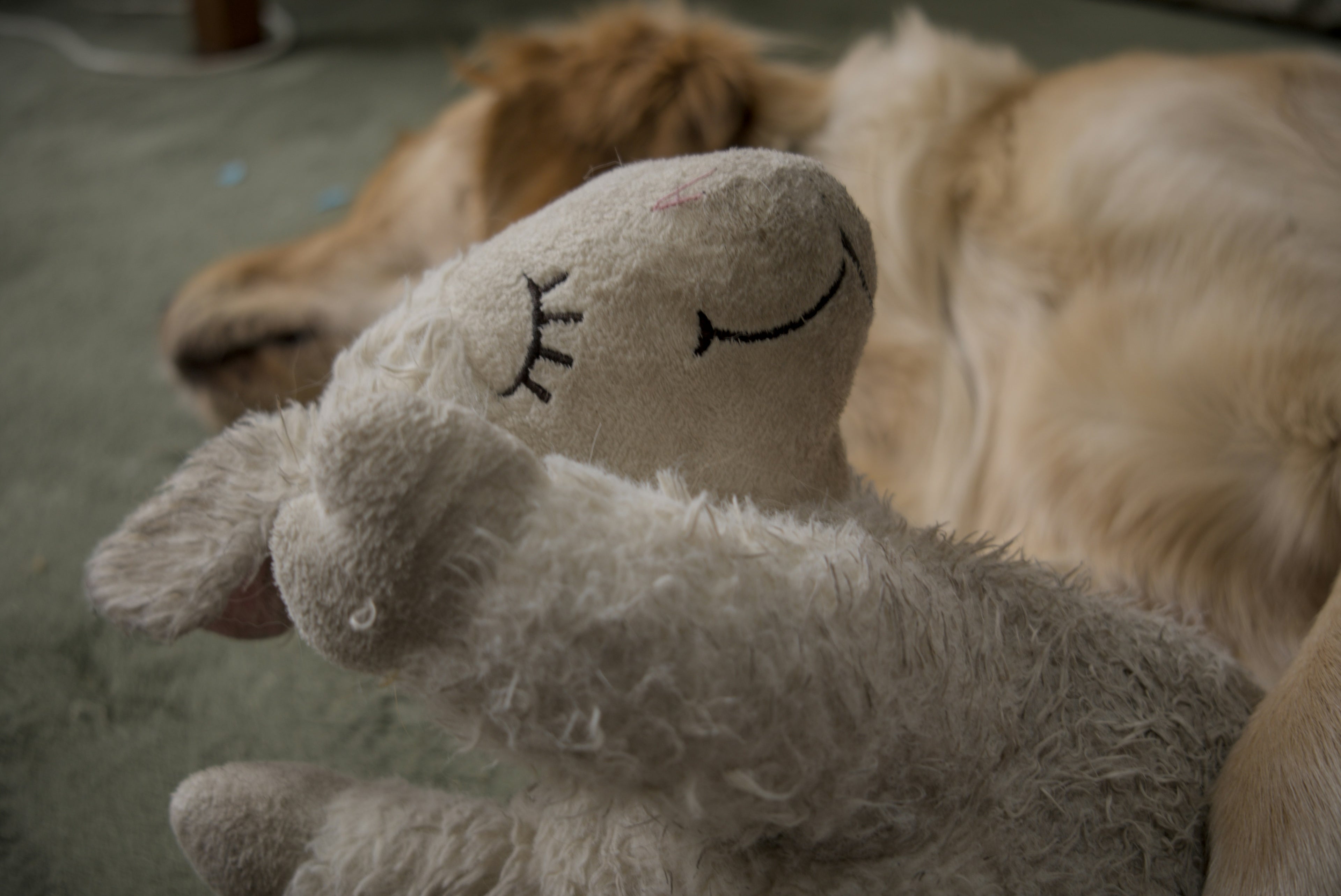 slider image 1621243260e1af0c20-0